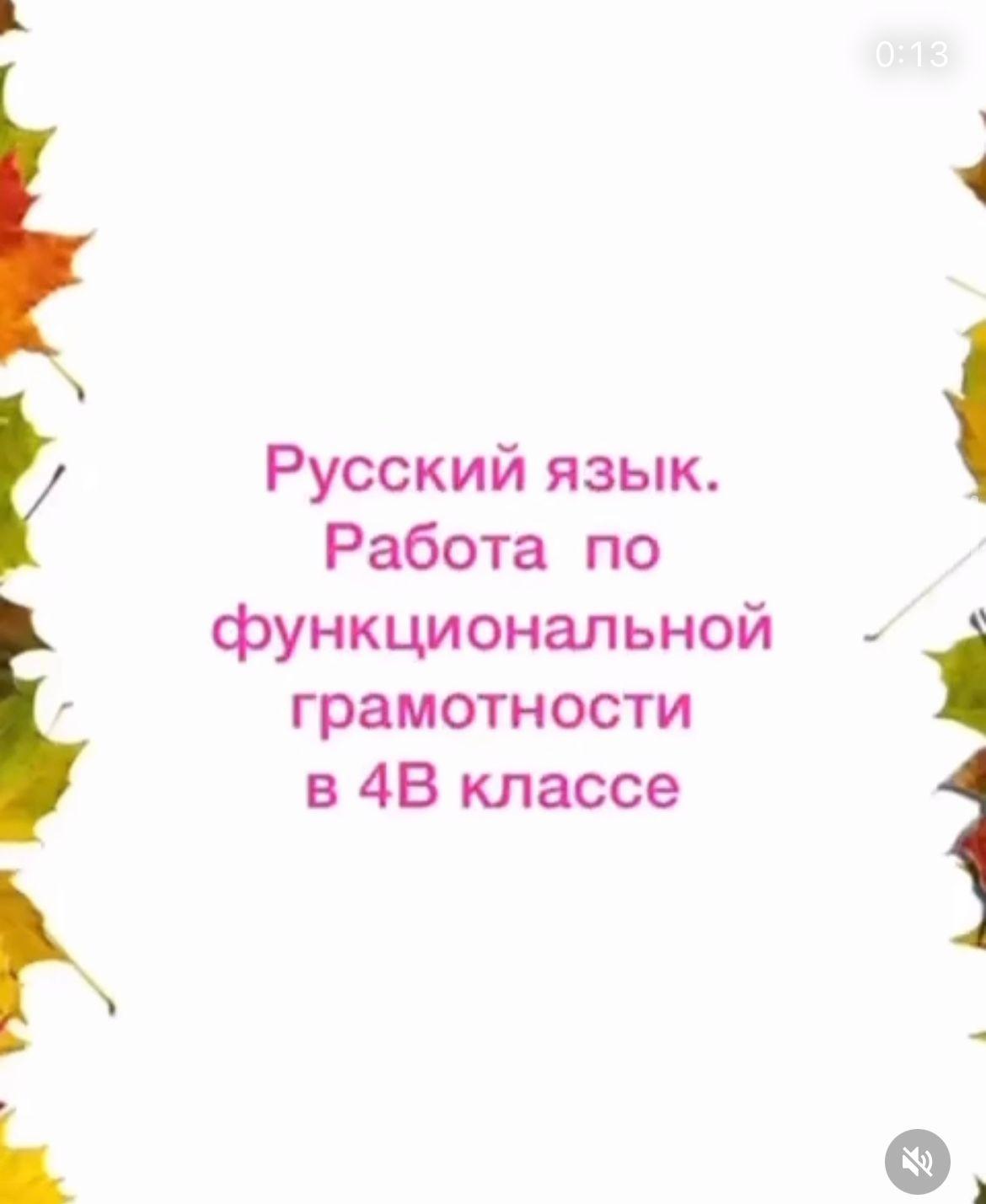 Работа по функциональной грамотности по русскому языку в 4В классе