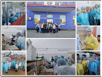 «JLC Сүт» ЖШС кәсіпорнына экскурсия